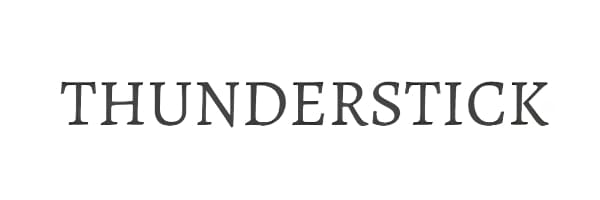 ThunderStick